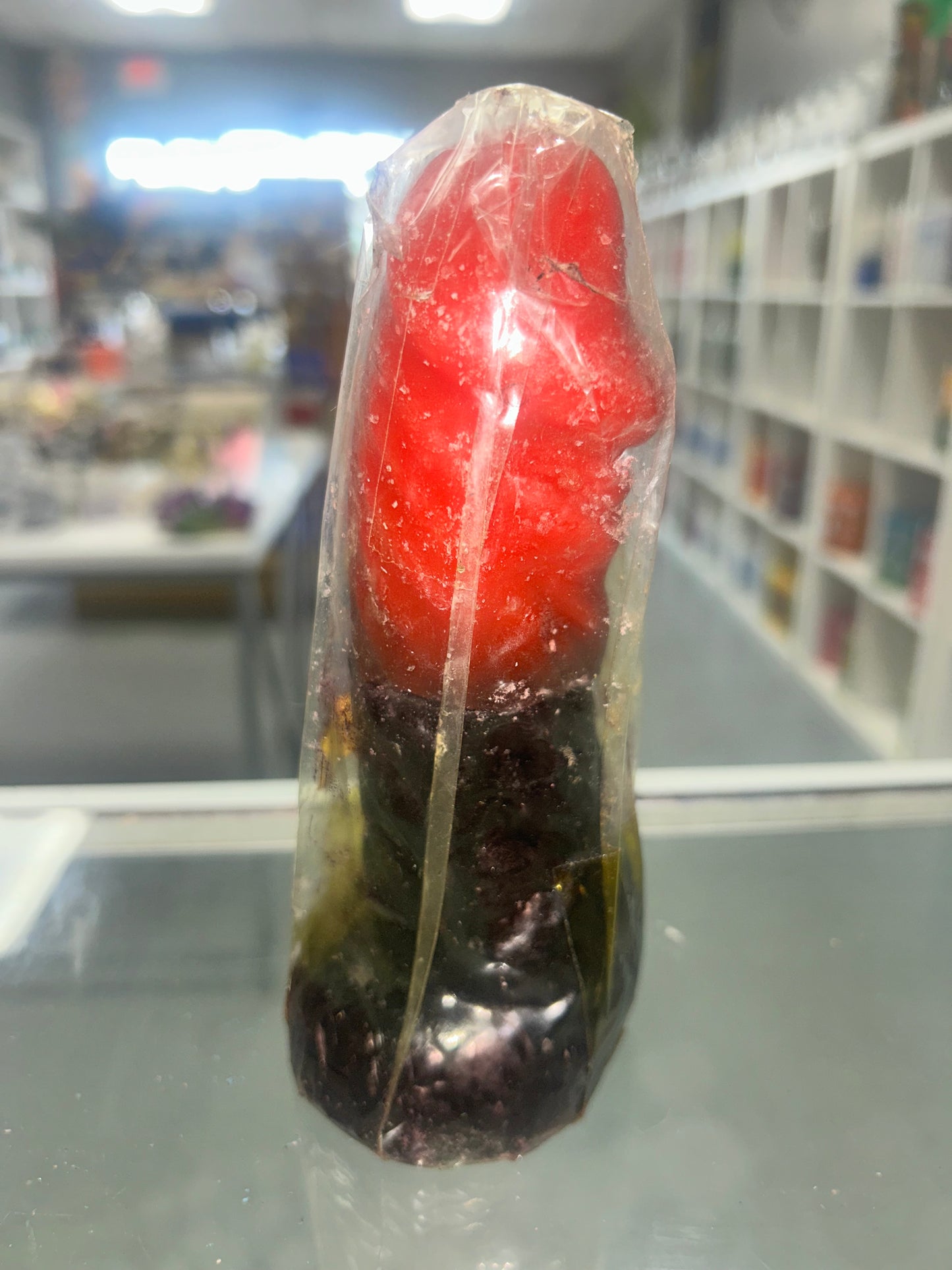 Reversible Penis