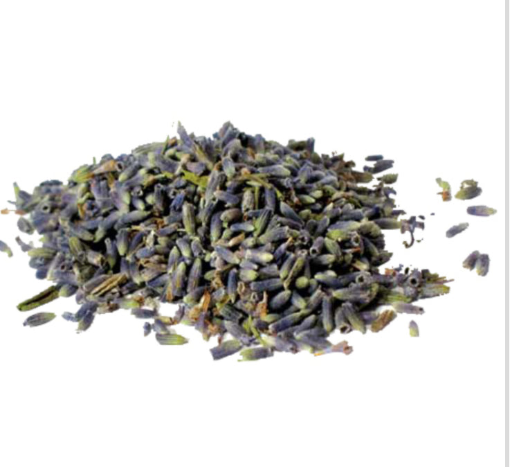 Lavender Flower