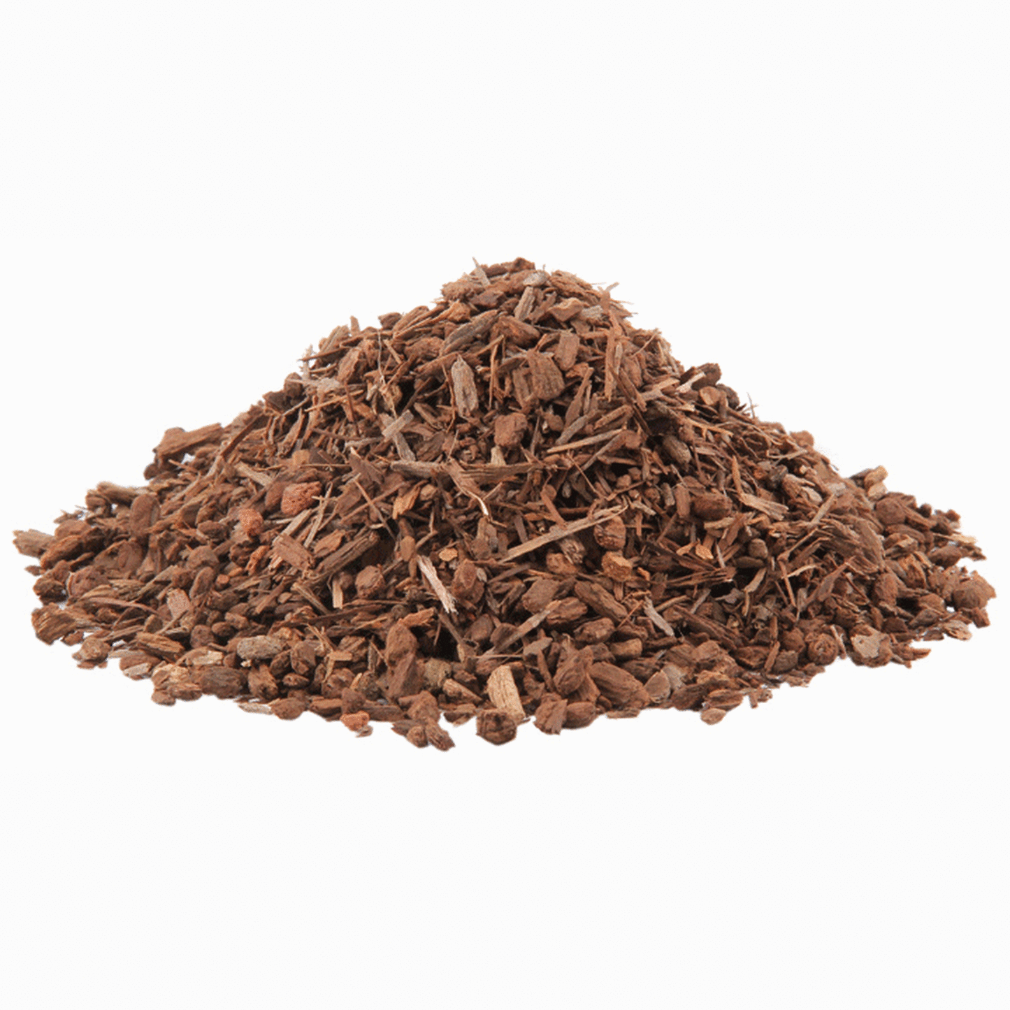 Black Walnut Leaves