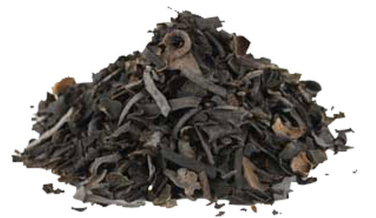 Bladderwrack