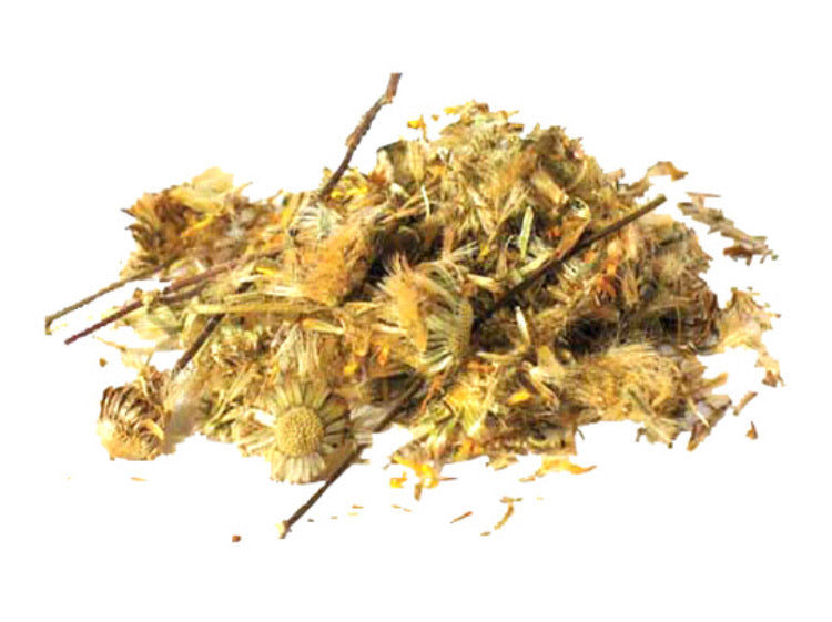 Arnica
