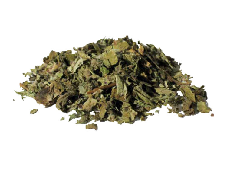 Coltsfoot leaves