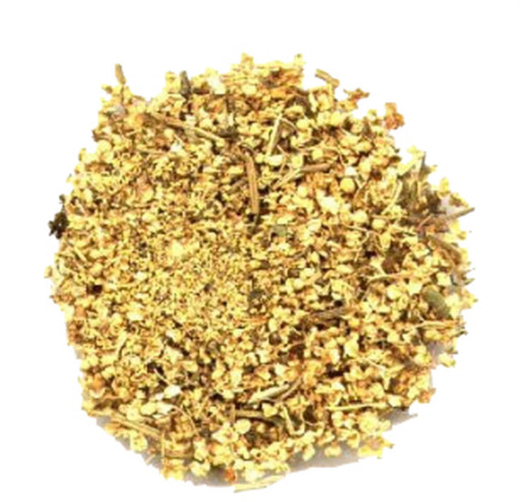 Elder Flower Sauco