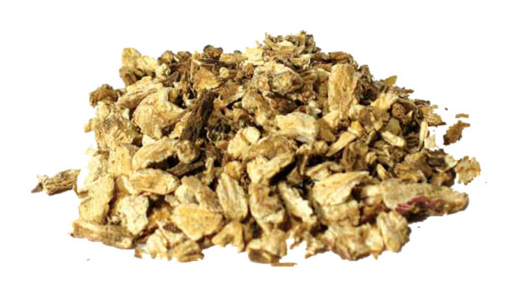 Angelica