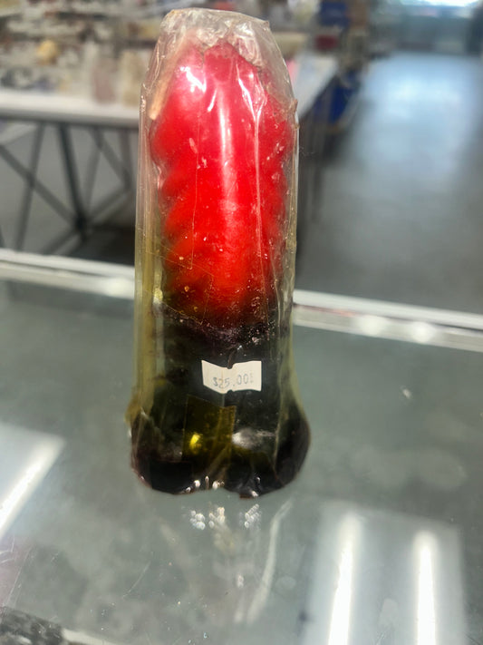 Reversible Penis