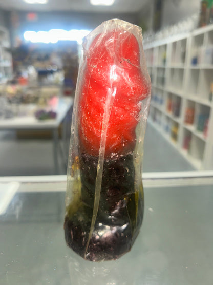 Reversible Penis