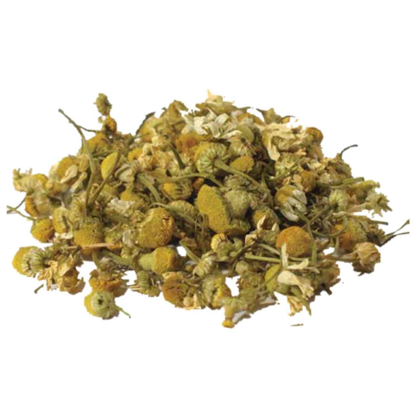 Chamomile flower herb