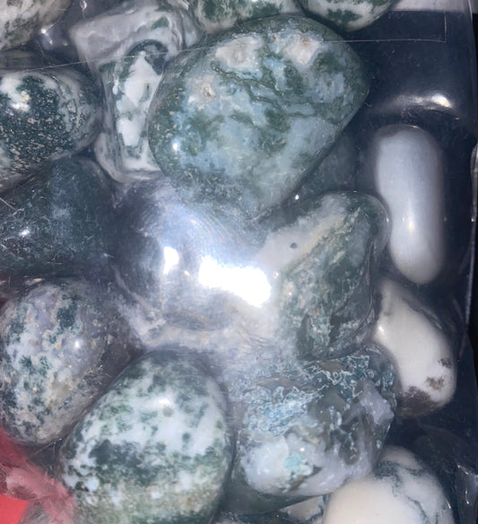 Green Tree Agate