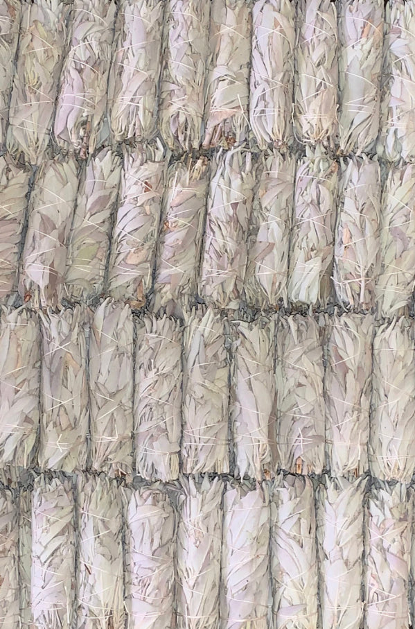 California White Sage