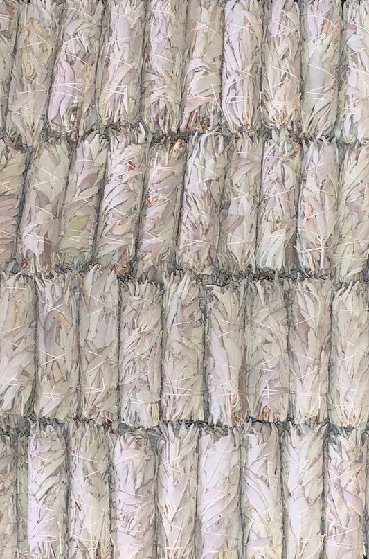 California White Sage