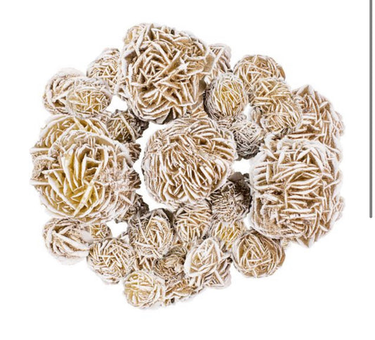 Desert Rose